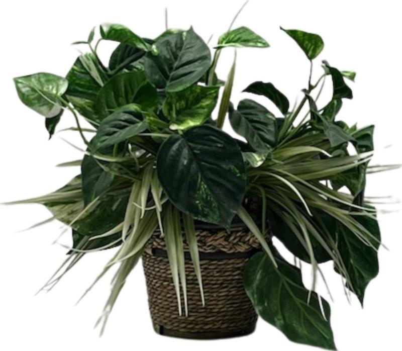 Wicker Potted Plant