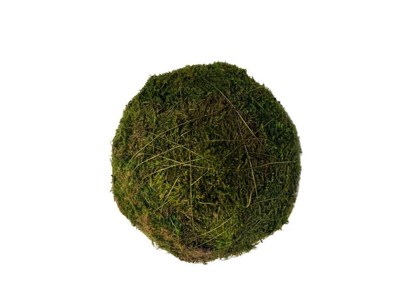 Moss Ball Lrg