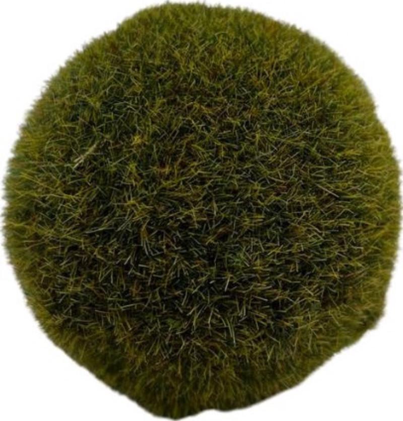 Small Grass Ball