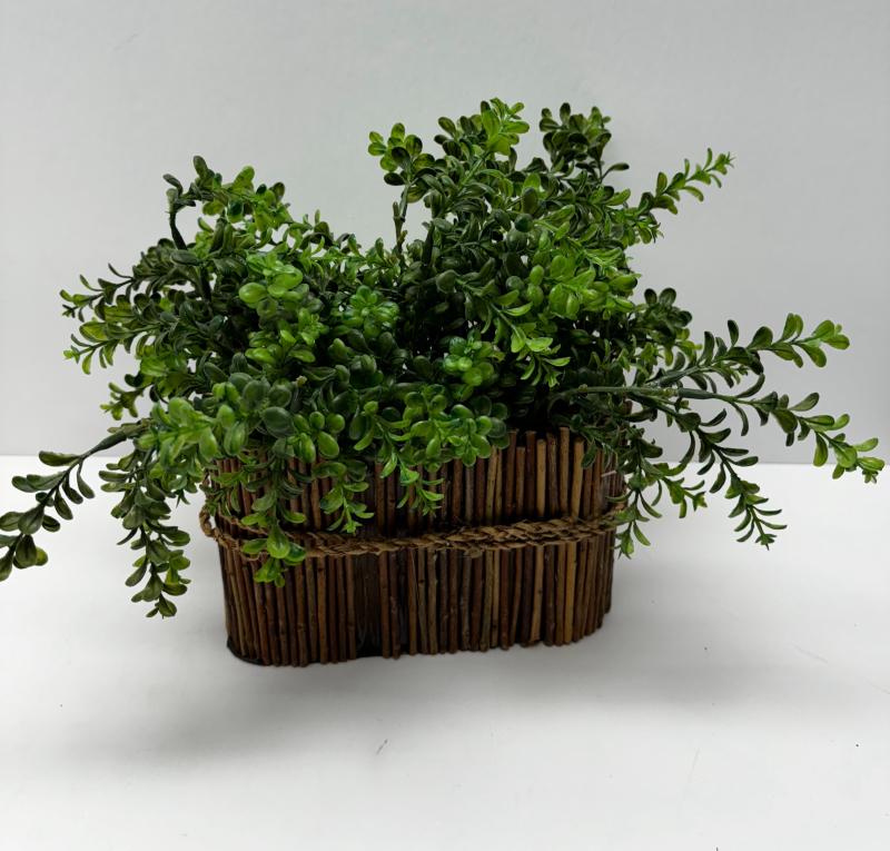 Table Plant