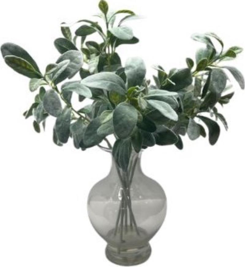 Plant In Glass Vase