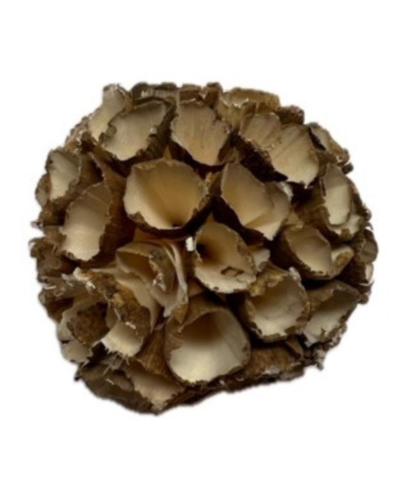 Ball