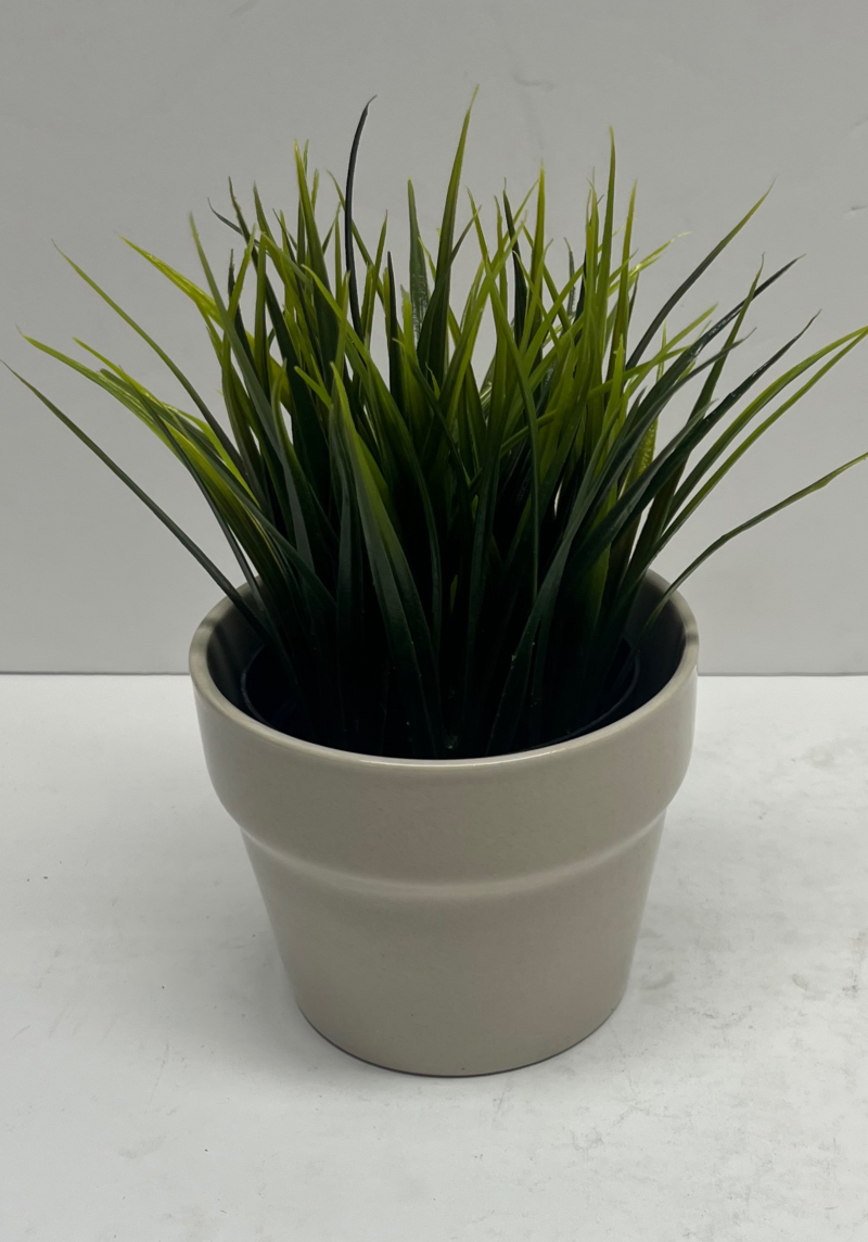 Grass In Tan Pot