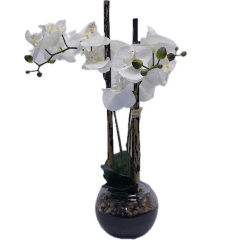 White Flower In Dark Bowl