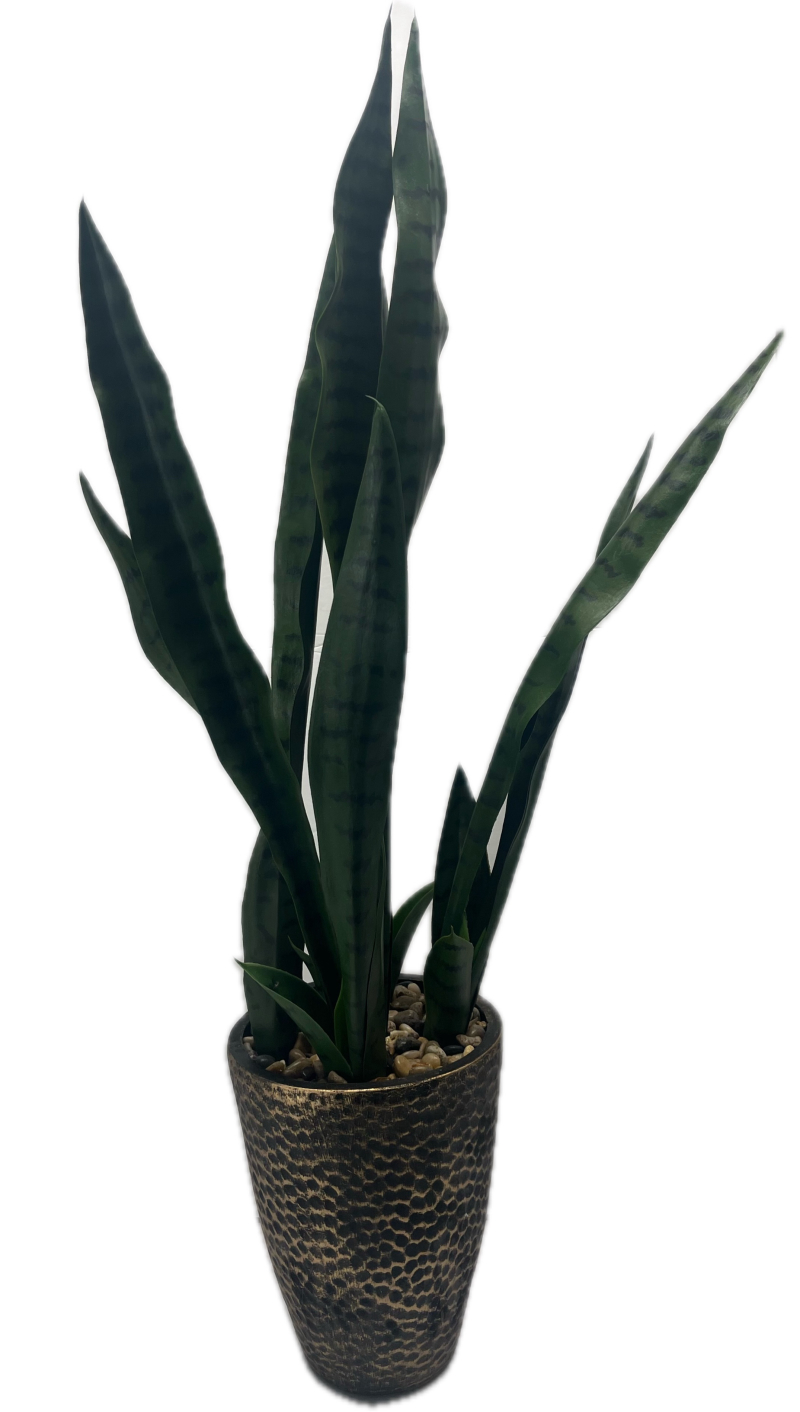 Snake Pl. In Pounded Base