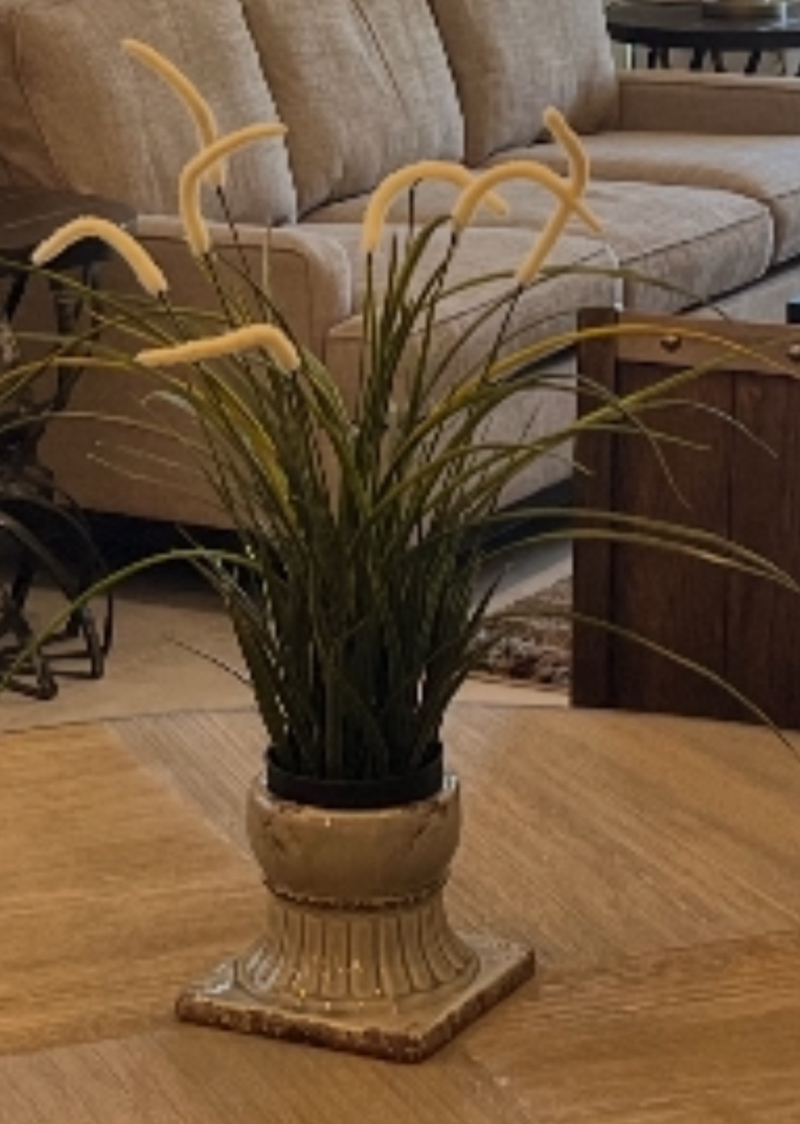 Plant In Ceramic Base