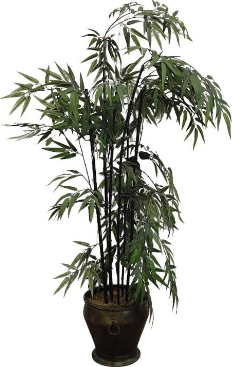 Bamboo Tree In Metal Pot