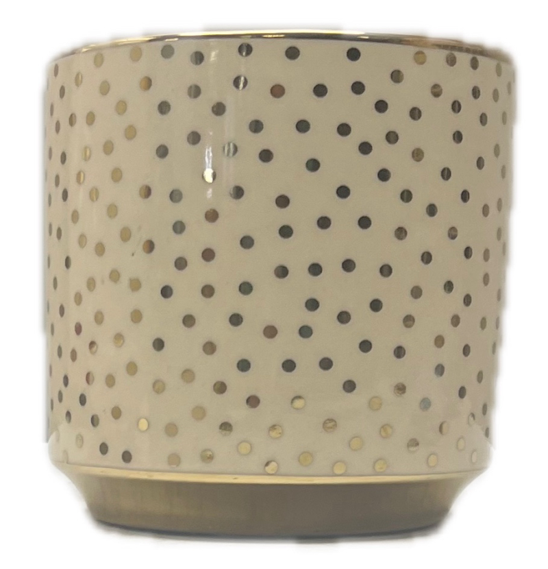 Small Cream & Gold Vase