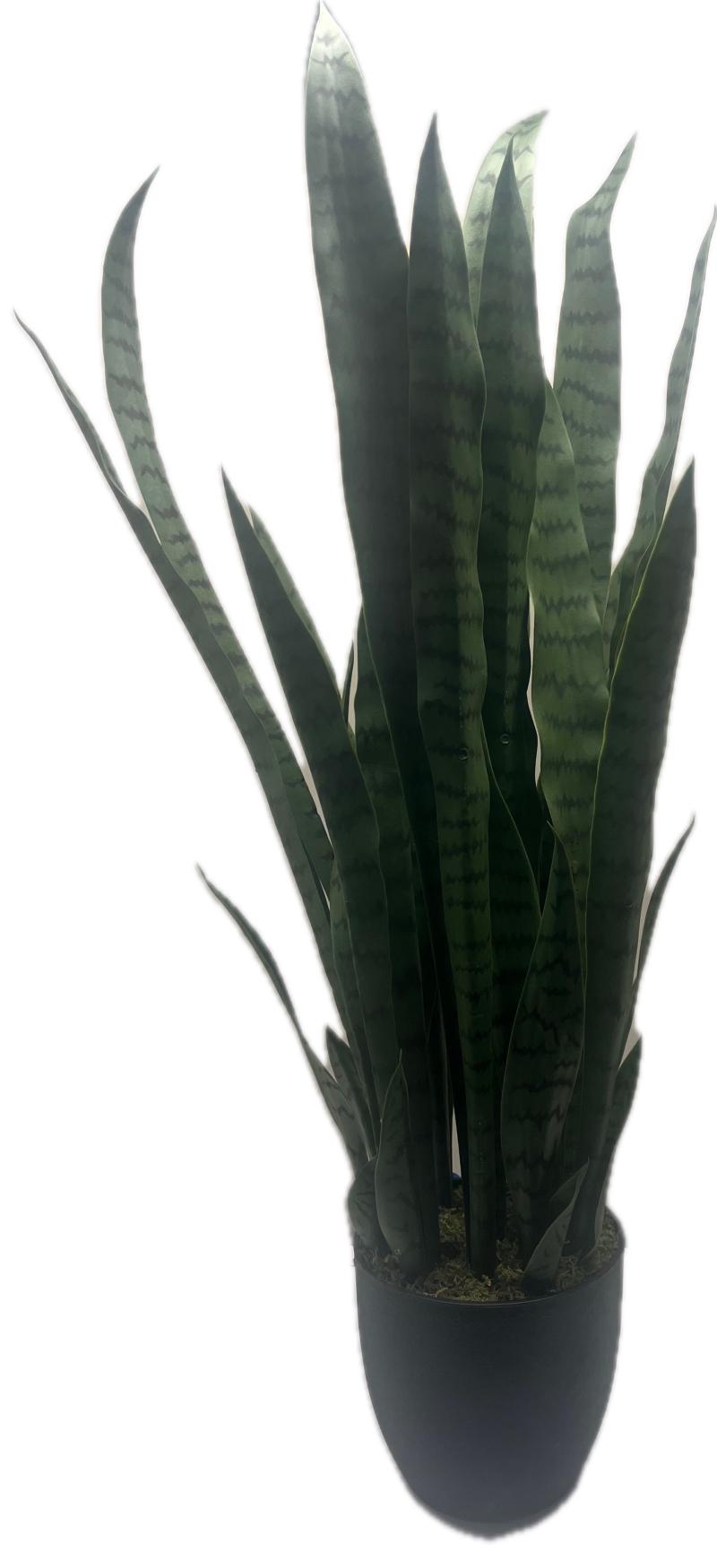Variegated Snake
