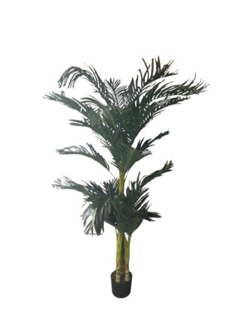 Palm Tree In Rnd. Base