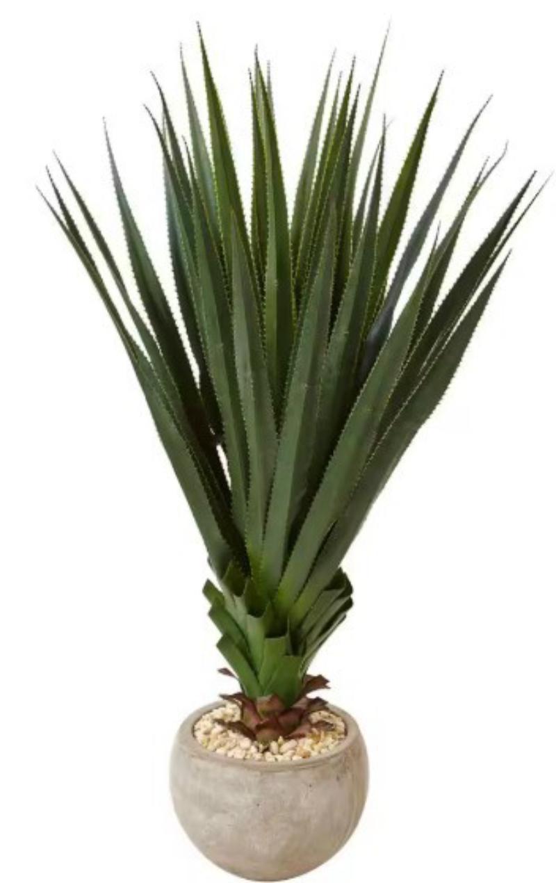 Agave In Sand Bowl Vase
