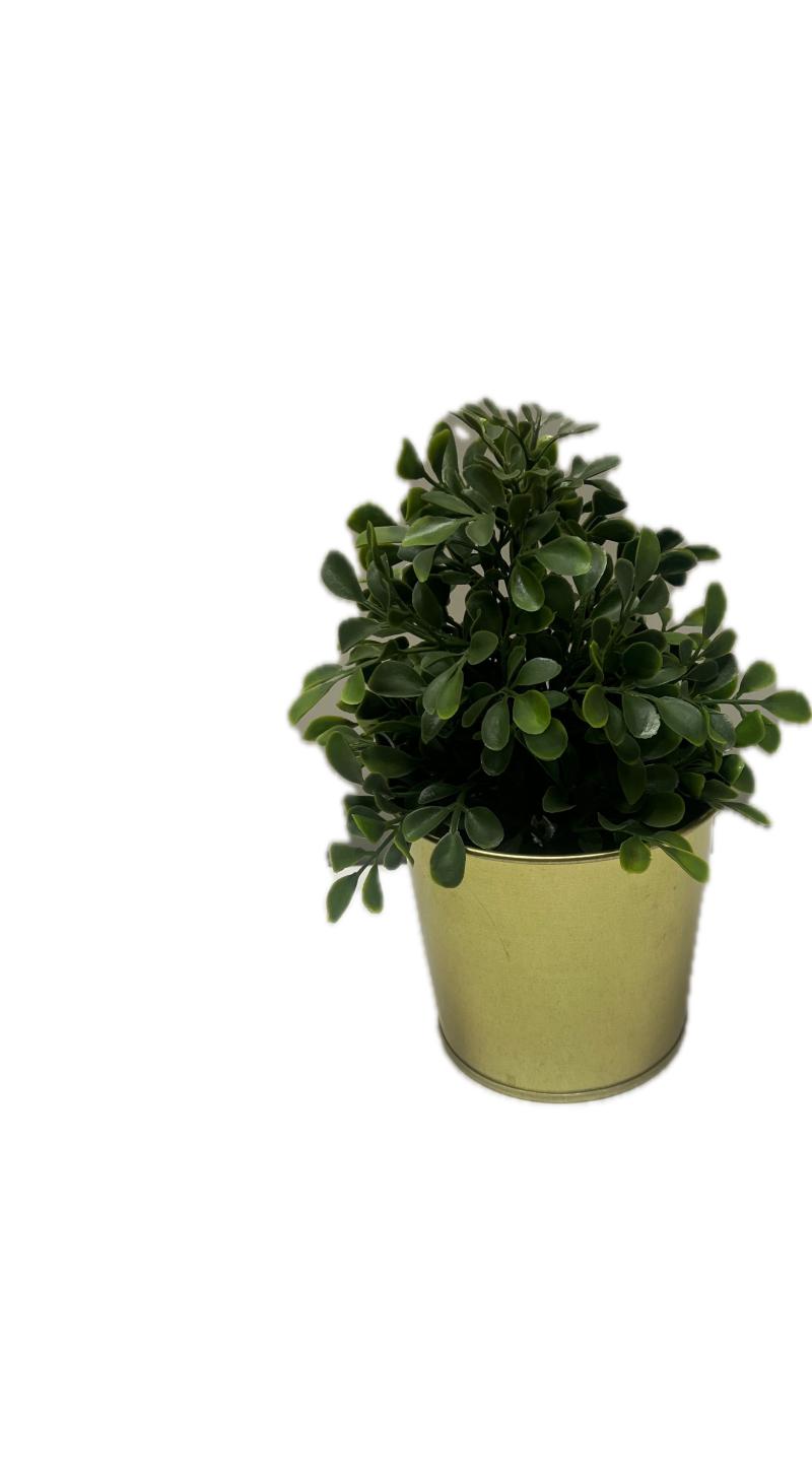 Small Plant In Gold Pot