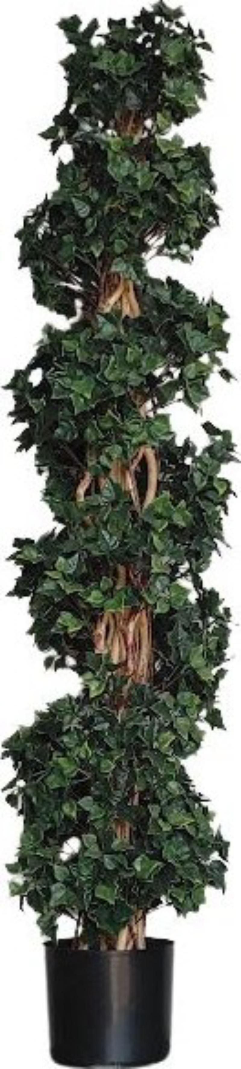 Floor Plant