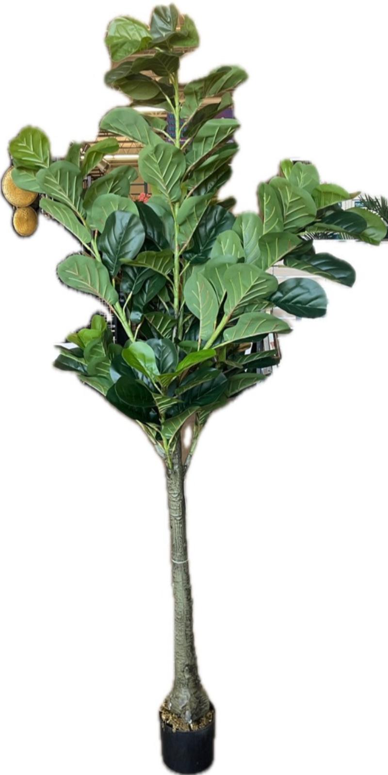 Floor Plant